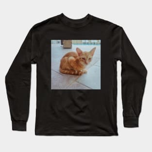 Pretty Siamese Egyptian Red Cat Photography for cat lovers and cat addicts Long Sleeve T-Shirt